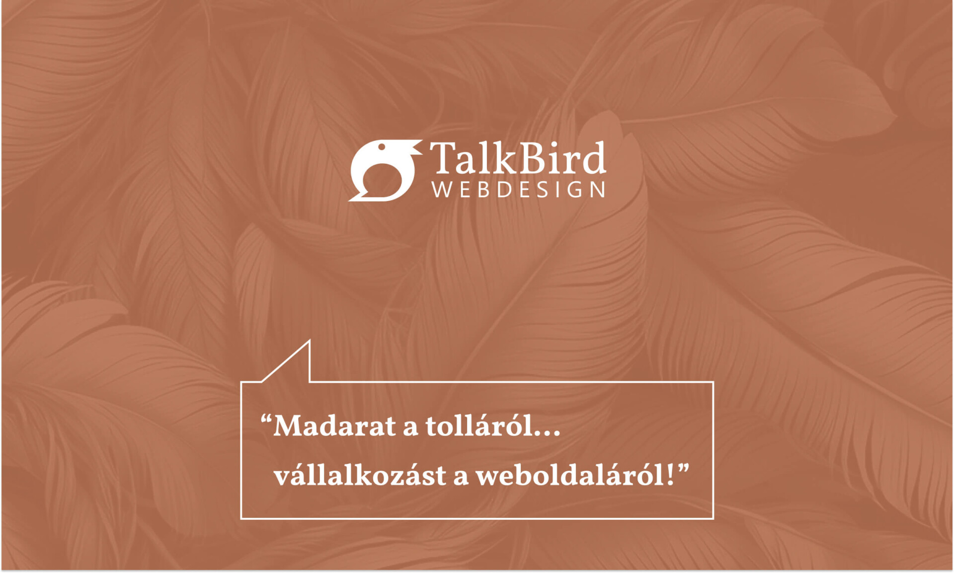 Talkbird Webdesign egyedi webdesign és wordpress weboldal készítés