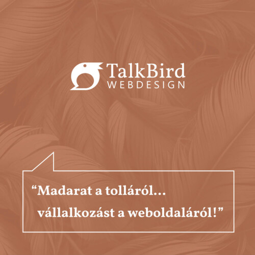 talkbird-webdesign-boritokep